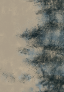 200cm X 280cm